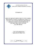 khảo sát hiệu quả phòng trị của calci clorua, dịch trích lá neem (azadirachta indica) và lá lược vàng (callisia fragrans) đối với nấm aspergillus niger và colletotrichum sp. gây bệnh trên trái cam sành sau thu hoạch