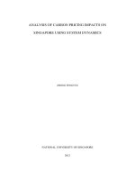Analysis of carbon pricing impacts on singapore using system dynamics