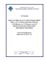 khảo sát hiệu quả của một số dịch trích thực vật và thuốc hóa học đối với nấm bipolaris sp. và pithomyces sp. gây bệnh lem lép hạt trong điều kiện phòng thí nghiệm