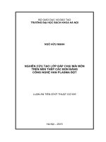 Nghiên cứu tạo lớp đắp chịu mài mòn trên nền thép các bon bằng công nghệ hàn Plasma bột