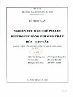 Nghiên cứu bào chế pellet ibuprofen bằng phương pháp đùn   tạo cầu