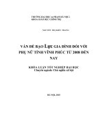 Khoá luận tốt nghiệp vấn đề bạo lực gia đình đối với phụ nữ tỉnh vĩnh phúc từ 2008 đến nay