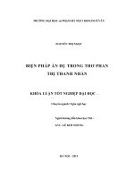 Khoá luận tốt nghiệp biện pháp ẩn dụ trong thơ phan thị thanh nhàn