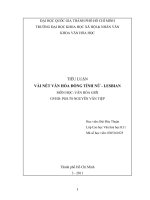 TIỂU LUẬN vài nét văn hóa ĐỒNG TÍNH nữ   LESBIAN 