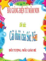 Bài giảng điện tử mầm non lớp Mầm đề tài Truyện cái đuôi của sóc nâu