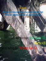 QUÁ TRÌNH ĂN MỒN BÊ TÔNG