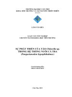 sự phát triển của tảo chlorella sp. trong hệ thống nuôi cá tra (pangasianodon hypophthalmus)