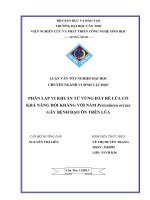 phân lập vi khuẩn từ vùng đất rễ lúa có khả năng đối kháng với nấm pyricularya oryzae gây bệnh đạo ôn trên lúa