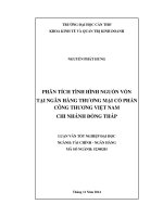 phân tích tình hình nguồn vốn tại ngân hàng thương mại cổ phần công thương việt nam chi nhánh đồng tháp