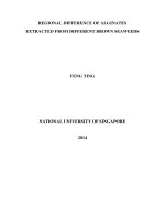 Regional difference of alginates extracted from different brown seaweeds 