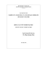 Nghiên cứu ảnh hưởng của nitơ đến quá trình lên men rượu vang