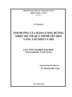 Ảnh hưởng của hàm lượng đường, nhiệt độ tới quá trình lên men vang táo mèo và mơ