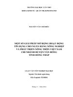 một số giải pháp mở rộng hoạt động tín dụng cho ngân hàng nông nghiệp và phát triển nông thôn việt nam chi nhánh huyện tân hồng tỉnh đồng tháp