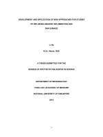 DEVELOPMENT AND APPLICATION OF NEW APPROACHES FOR STUDIES OF INFLUENZA INDUCED INFLAMMATION AND DNA DAMAGE