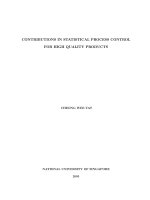 Contributions in statistical process control for high quality products