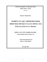 Nghiên cứu quá trình phát sinh hình thái mô sẹo của cây đinh lăng (polyscias fruticosa (l ) harms)