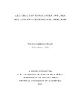 Arbitrage in stock index futures one and two dimensional problems