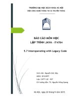 Báo cáo lập trình java về Interoperating with Legacy Code
