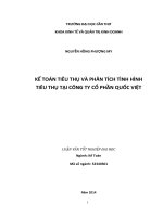kế toán tiêu thụ và phân tích tình hình tiêu thụ tại công ty cổ phần quốc việt