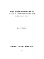 Modeling on economic feasibility analysis of biodiesel production from microalgae in china 