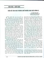 Vấn đề văn hóa trong chủ nghĩa khu vực đông á 