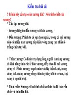 Bài giảng sinh học 8 bài 9 cấu tạo và tính chất của cơ thao giảng (1) 