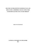 Delivery of proapoptotic biomolecules and drugs using amphiphilic block copolymer nanoparticles for anti cancer therapy