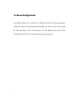 An image registration method based on the local and global structures