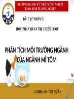 phân tích môi trường ngành của ngành mì tôm