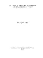 An adaptive model for multi modal biometrics decision fusion