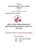 PHÂN TÍCH TÌNH HÌNH HOẠT ĐỘNG KINH DOANH của CÔNG TY PVC MS