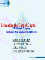 Bài thuyết trình estimating the cost of capital