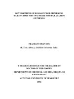 Development of hollow fiber membrane bioreactors for two phase biodegradation of phenol