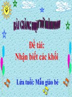Bài giảng điện tử mầm non lớp Mầm đề tài Nhận biết các khối