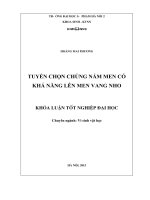 Tuyển chọn chủng nấm men có khả năng lên men vang nho