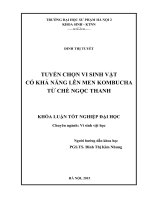 Tuyển chọn vi sinh vật có khả năng lên men kombucha từ chè ngọc thanh