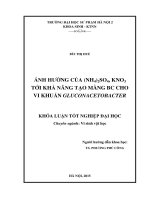 Ảnh hưởng của (NH4)2SO4, KNO3 tới khả năng tạo màng BC cho vi khuẩn gluconacetobacter
