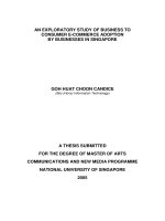 An exploratory study of business to consumer e commerce adoption by businesses in singapore