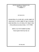 Ảnh hưởng của nước dừa, nước chiết từ mầm ngô và nước chiết từ quả táo đến sinh trưởng của cây hoa cúc nhật CN01 (chrysanthemum maximum seiun   3) in vitro
