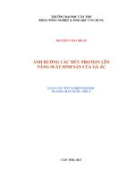 ảnh hưởng các mức protein lên năng suất sinh sản của gà ác