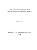 Analysis and computation for coupling bose einstein condensates in optical resonators