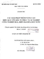các giải pháp nhằm nâng cao hiệu quả đầu tư phục vụ sự nghiệp công  nghiệp hóa  hiện đại hóa đất nước