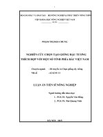 Nghiên cứu chọn tạo giống đậu tương thích hợp với một số tỉnh phía Bắc Việt Nam
