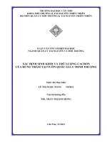 xác định sinh khối và trữ lượng cacbon của rừng tràm tại vườn quốc gia u minh thượng