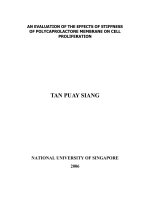 An evaluation of the effects of the stiffness of polycaprolactone on cell proliferation