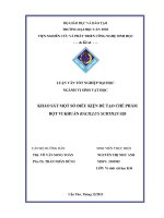 khảo sát một số điều kiện để tạo chế phẩm bột vi khuẩn bacillus subtilis s20