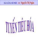 bài giảng mô phôi full hay