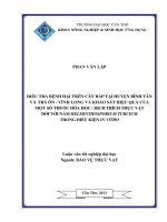 điều tra bệnh hại trên cây bắp tại huyện bình tân và trà ôn  vĩnh long và khảo sát hiệu quả của một số thuốc hóa học  dịch trích thực vật đối với nấm helminthosporium turcium trong điều kiện in vitro