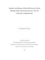Analysis and design of power electronic cell for modular power electronic systems DC AC converter configurations