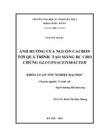 Ảnh hưởng của nguồn cacbon tới quá trình tạo màng BC cho chủng gluconacetobacter